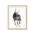 Picture of Black Cariboo _GroupedProduct_Rectangle_Portrait_Framed_Matted_
