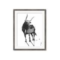 Picture of Black Cariboo _GroupedProduct_Rectangle_Portrait_Framed_Matted_
