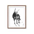 Picture of Black Cariboo _GroupedProduct_Rectangle_Portrait_Framed_Matted_