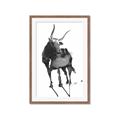 Picture of Black Cariboo _GroupedProduct_Rectangle_Portrait_Framed_Matted_