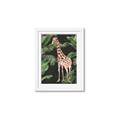 Picture of Giraffe In The Jungle _GroupedProduct_Rectangle_Portrait_Framed_Matted_