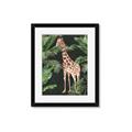 Picture of Giraffe In The Jungle _GroupedProduct_Rectangle_Portrait_Framed_Matted_