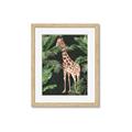 Picture of Giraffe In The Jungle _GroupedProduct_Rectangle_Portrait_Framed_Matted_