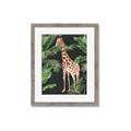 Picture of Giraffe In The Jungle _GroupedProduct_Rectangle_Portrait_Framed_Matted_