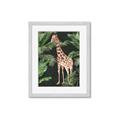 Picture of Giraffe In The Jungle _GroupedProduct_Rectangle_Portrait_Framed_Matted_