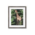 Picture of Giraffe In The Jungle _GroupedProduct_Rectangle_Portrait_Framed_Matted_