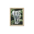 Picture of Elephant In The Forest _GroupedProduct_Rectangle_Portrait_Framed_Matted_