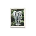 Picture of Elephant In The Forest _GroupedProduct_Rectangle_Portrait_Framed_Matted_