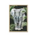 Picture of Elephant In The Forest _GroupedProduct_Rectangle_Portrait_Framed_Matted_
