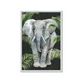 Picture of Elephant In The Forest _GroupedProduct_Rectangle_Portrait_Framed_Matted_
