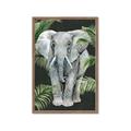 Picture of Elephant In The Forest _GroupedProduct_Rectangle_Portrait_Framed_Matted_