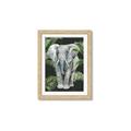Picture of Elephant In The Forest _GroupedProduct_Rectangle_Portrait_Framed_Matted_