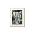 Picture of Elephant In The Forest _GroupedProduct_Rectangle_Portrait_Framed_Matted_