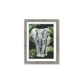 Picture of Elephant In The Forest _GroupedProduct_Rectangle_Portrait_Framed_Matted_