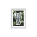 Picture of Elephant In The Forest _GroupedProduct_Rectangle_Portrait_Framed_Matted_