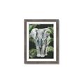 Picture of Elephant In The Forest _GroupedProduct_Rectangle_Portrait_Framed_Matted_