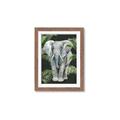 Picture of Elephant In The Forest _GroupedProduct_Rectangle_Portrait_Framed_Matted_