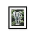 Picture of Elephant In The Forest _GroupedProduct_Rectangle_Portrait_Framed_Matted_