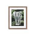Picture of Elephant In The Forest _GroupedProduct_Rectangle_Portrait_Framed_Matted_
