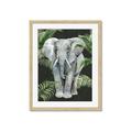 Picture of Elephant In The Forest _GroupedProduct_Rectangle_Portrait_Framed_Matted_