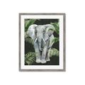 Picture of Elephant In The Forest _GroupedProduct_Rectangle_Portrait_Framed_Matted_