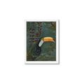 Picture of Long Beak I _GroupedProduct_Rectangle_Portrait_Framed_Matted_