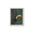 Picture of Long Beak I _GroupedProduct_Rectangle_Portrait_Framed_Matted_