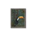 Picture of Long Beak I _GroupedProduct_Rectangle_Portrait_Framed_Matted_