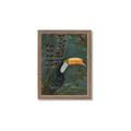 Picture of Long Beak I _GroupedProduct_Rectangle_Portrait_Framed_Matted_