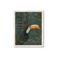 Picture of Long Beak I _GroupedProduct_Rectangle_Portrait_Framed_Matted_