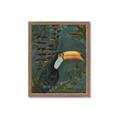 Picture of Long Beak I _GroupedProduct_Rectangle_Portrait_Framed_Matted_