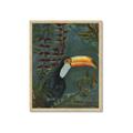 Picture of Long Beak I _GroupedProduct_Rectangle_Portrait_Framed_Matted_