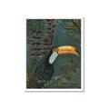 Picture of Long Beak I _GroupedProduct_Rectangle_Portrait_Framed_Matted_