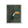 Picture of Long Beak I _GroupedProduct_Rectangle_Portrait_Framed_Matted_