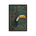Picture of Long Beak I _GroupedProduct_Rectangle_Portrait_Framed_Matted_