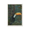 Picture of Long Beak I _GroupedProduct_Rectangle_Portrait_Framed_Matted_