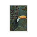 Picture of Long Beak I _GroupedProduct_Rectangle_Portrait_Framed_Matted_
