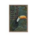 Picture of Long Beak I _GroupedProduct_Rectangle_Portrait_Framed_Matted_