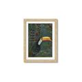 Picture of Long Beak I _GroupedProduct_Rectangle_Portrait_Framed_Matted_