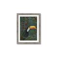 Picture of Long Beak I _GroupedProduct_Rectangle_Portrait_Framed_Matted_