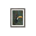 Picture of Long Beak I _GroupedProduct_Rectangle_Portrait_Framed_Matted_