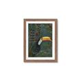 Picture of Long Beak I _GroupedProduct_Rectangle_Portrait_Framed_Matted_