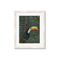 Picture of Long Beak I _GroupedProduct_Rectangle_Portrait_Framed_Matted_