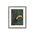 Picture of Long Beak I _GroupedProduct_Rectangle_Portrait_Framed_Matted_