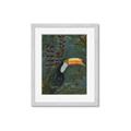 Picture of Long Beak I _GroupedProduct_Rectangle_Portrait_Framed_Matted_
