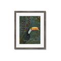 Picture of Long Beak I _GroupedProduct_Rectangle_Portrait_Framed_Matted_