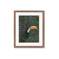 Picture of Long Beak I _GroupedProduct_Rectangle_Portrait_Framed_Matted_
