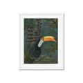 Picture of Long Beak I _GroupedProduct_Rectangle_Portrait_Framed_Matted_