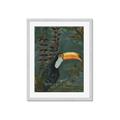 Picture of Long Beak I _GroupedProduct_Rectangle_Portrait_Framed_Matted_
