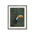 Picture of Long Beak I _GroupedProduct_Rectangle_Portrait_Framed_Matted_